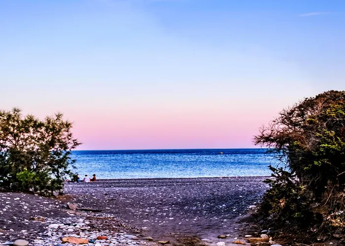 Mare