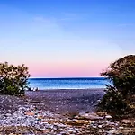 Mare 300m From The